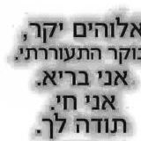חיפושיט
