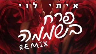 איתי לוי - פרח בשממה 